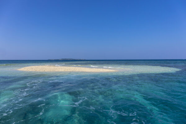西表島の「バラス島」でシュノーケリング体験！アクセス・行き方やおすすめのツアーなども紹介