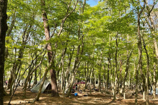 本栖湖SUMIKACAMPFIELDを徹底解説！料金・アクセス方法・口コミ情報まで紹介