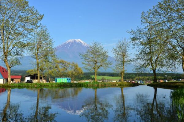 ふもとっぱらキャンプ場を徹底解説！予約方法・料金・チェックインのコツから温泉情報まで紹介
