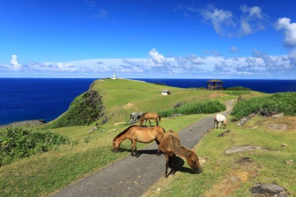 与那国島のおすすめ観光スポット11選！ドラマの舞台にもなった日本最西端の島