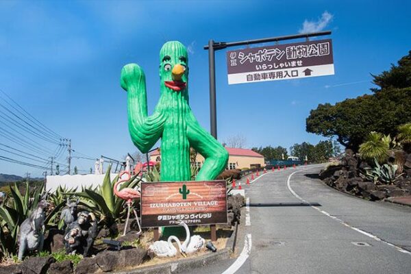 伊豆シャボテン動物公園を徹底解説！料金やアクセス方法・割引クーポン情報なども紹介